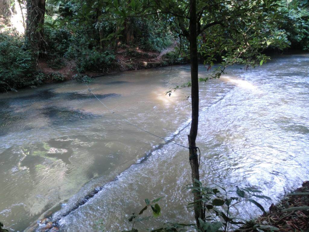 Flussüberquerung im Regenwald Flussüberquerung im Regenwald